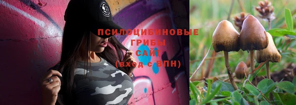 скорость Бикин