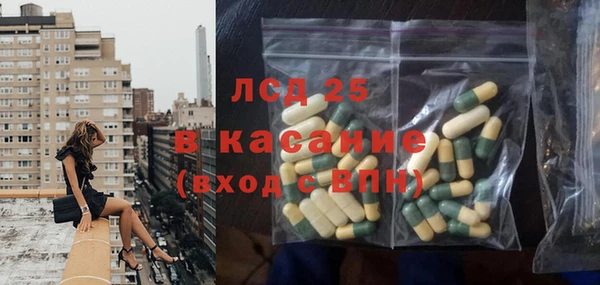 ГАЛЛЮЦИНОГЕННЫЕ ГРИБЫ Новодвинск